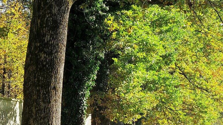 Herbstbilder aus Hellbrunn