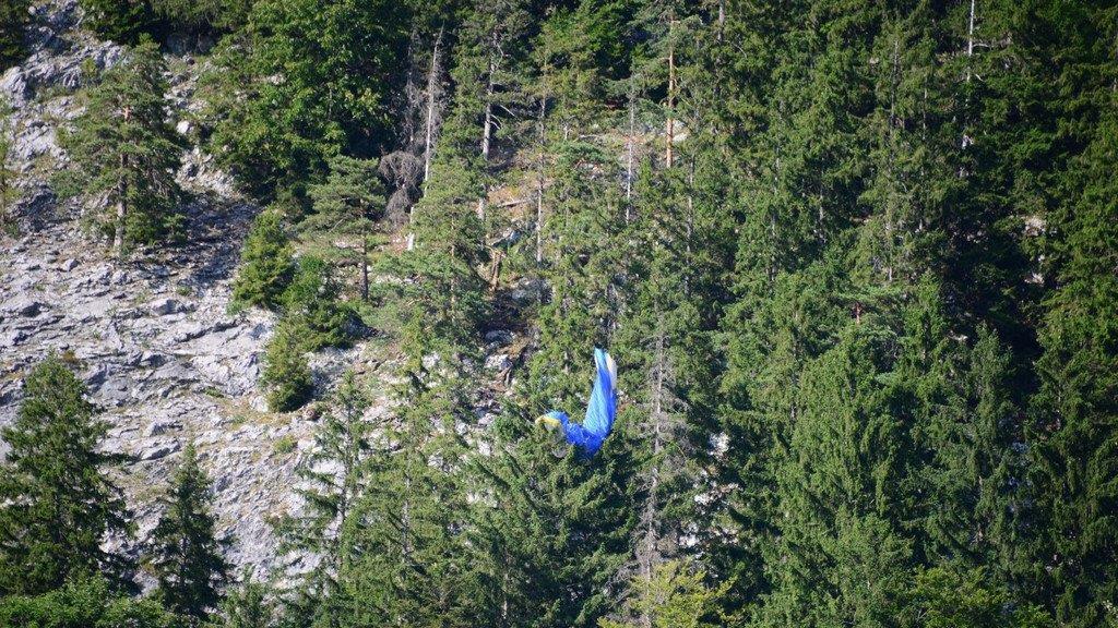 Paragleiter bleibt in Baum hängen