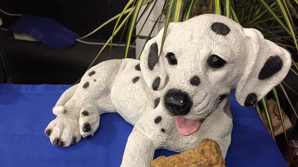 Kekse für den Hund: Gudrun Winklhofers Hundekeks-Bäckerei macht's möglich