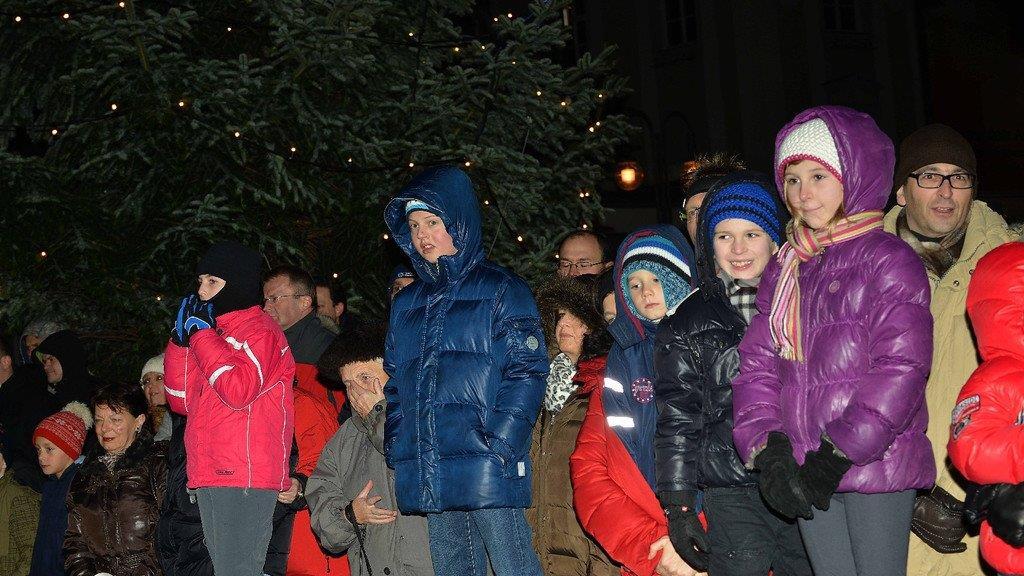 Christbaumtauchen am Traunsee