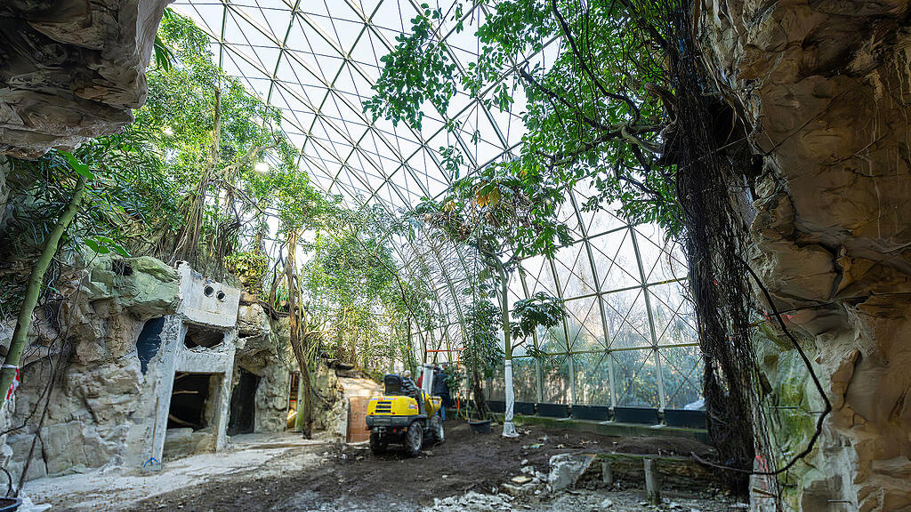 Schuppentier Zoo Wien