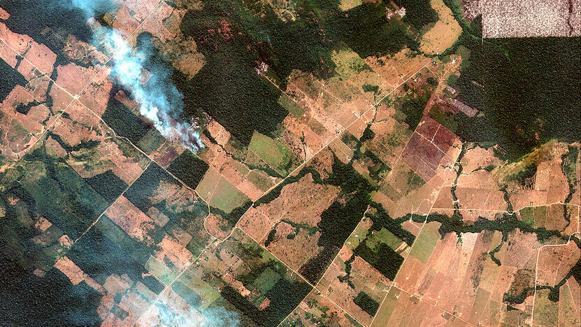 Waldbrände in Brasilien