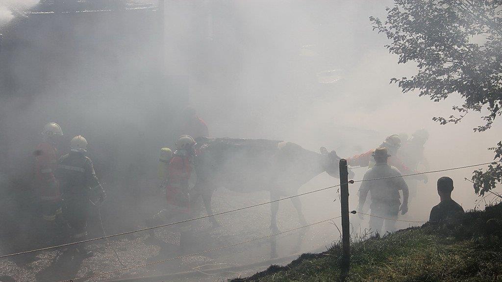 Thalgau: Bilder der Löscharbeiten