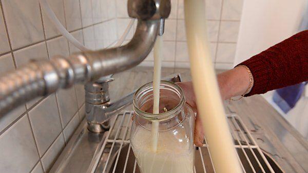 Österreich fürchtet um Milchbetriebe in den Berggebieten