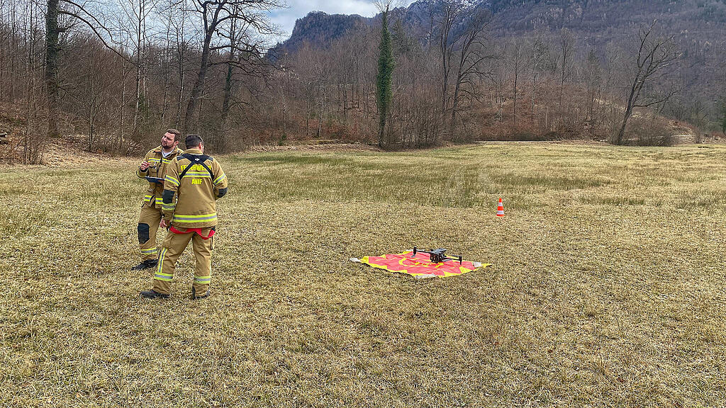 Schilfbrand Grödig