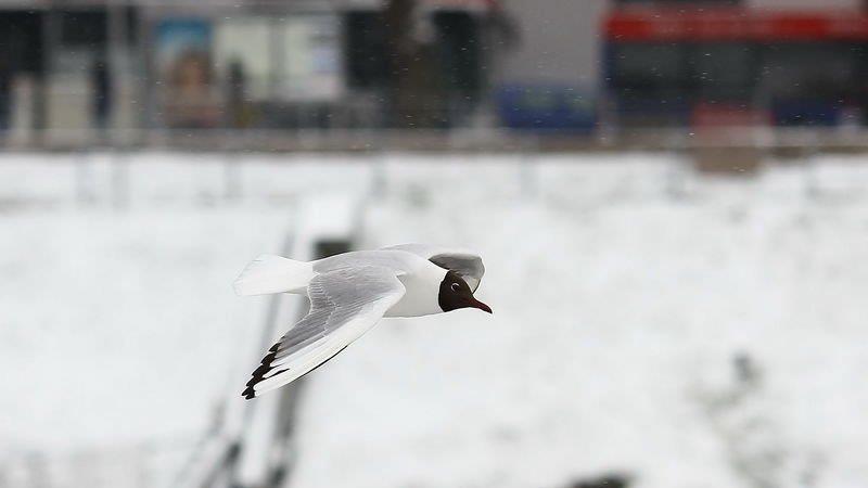 Kälte hat Salzburg im Griff