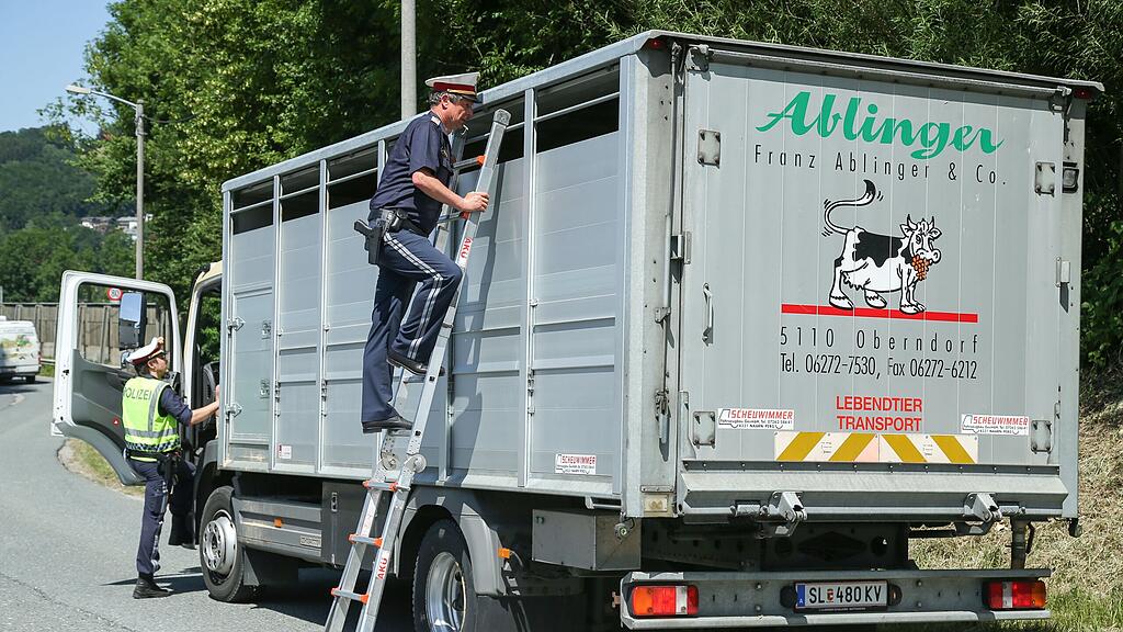 Tiertransporte werden regelmäßig überprüft.