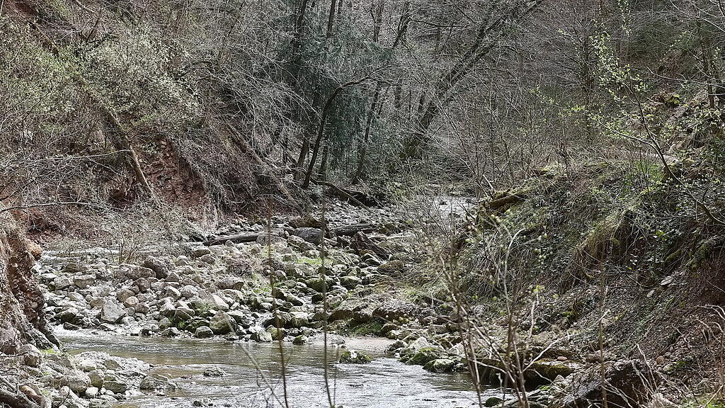 Glasenbachklamm