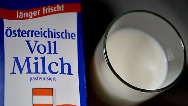Kühe gaben im Jahr 2015 mehr Milch