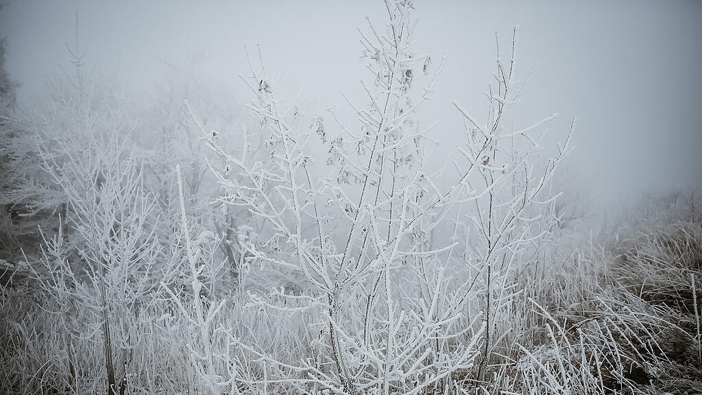 Schnee am Gaisberg