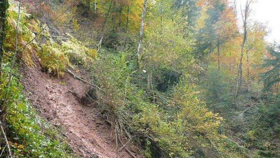 Glasenbachklamm wieder offen