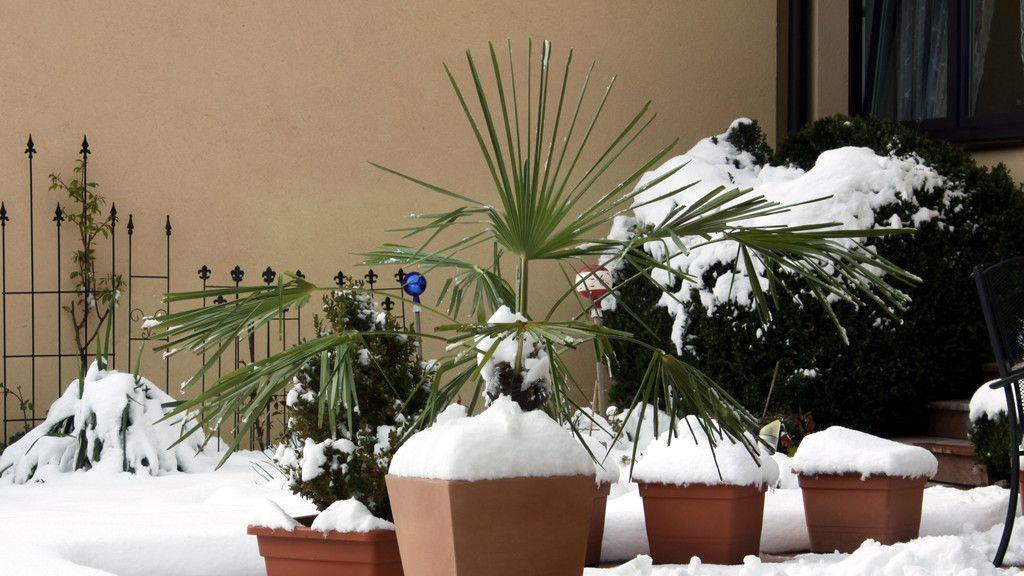 Wintereinbruch im Flachgau