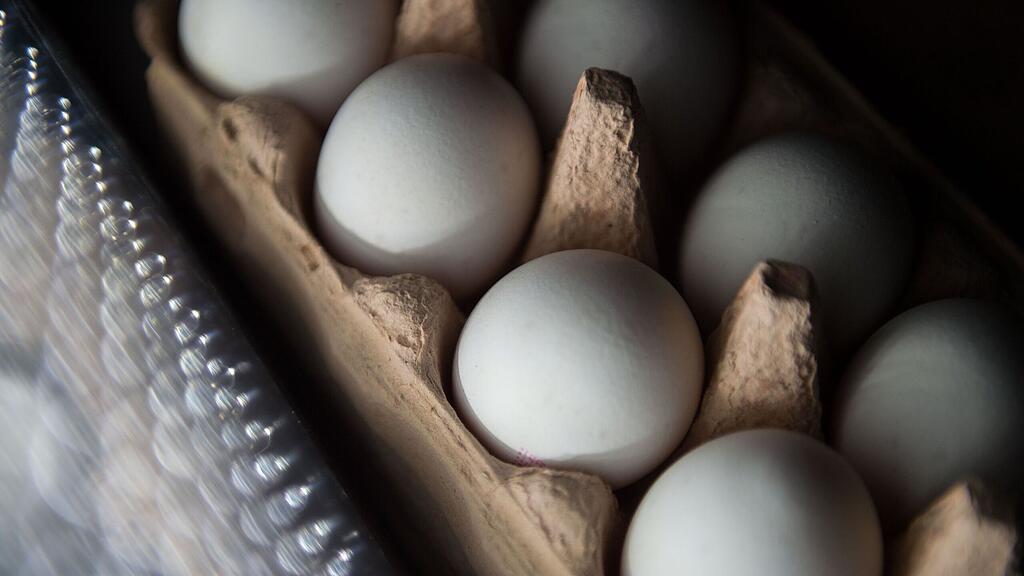 Der deutsche Discounter Aldi reagiert auf den Fipronil-Verdacht in Eiern.