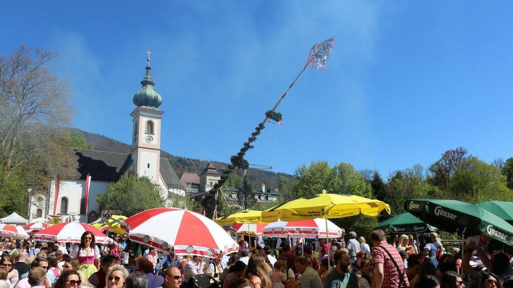 Maibaumaufstellen in Aigen