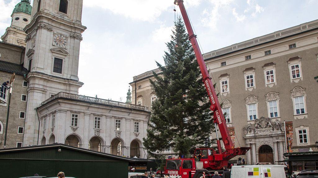 Christbaum am Residenzplatz I