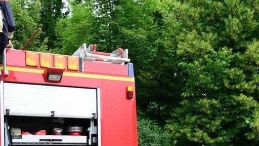 Pinzgauerinnen in Bayern verletzt, I