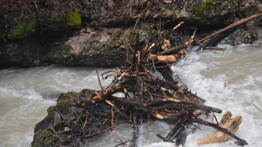 Glasenbachklamm: Hoher Pegel