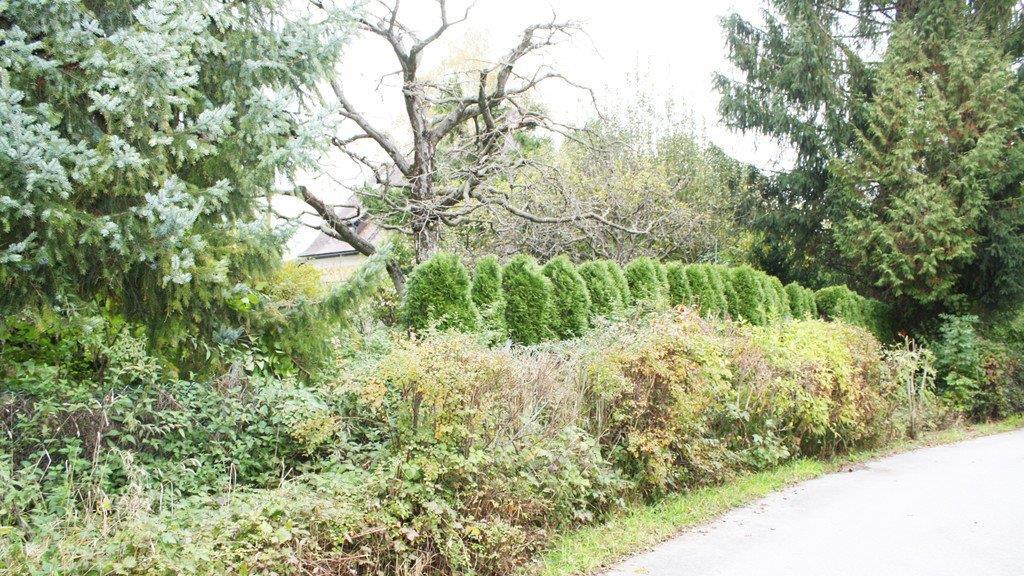 Hier soll gebaut werden