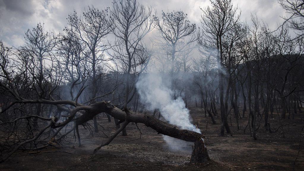 Waldbrand in Athen: Tag 2