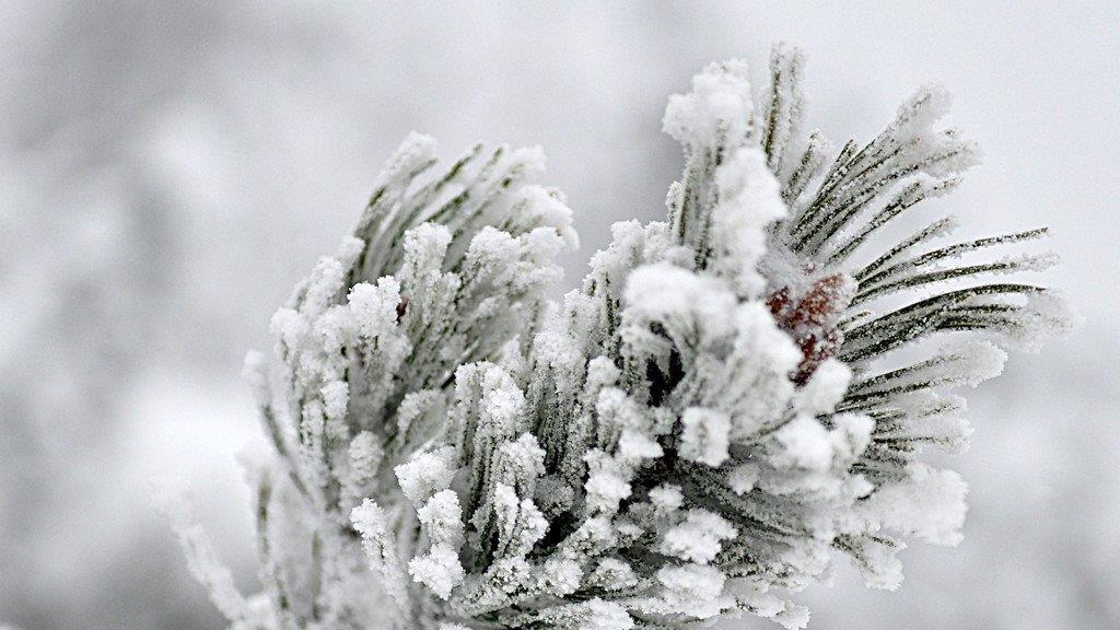 Winter im Flachgau: Gaisberg und Vorderfager