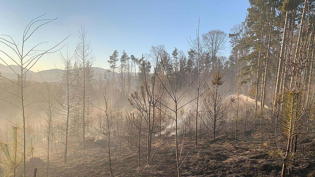 Waldbrand_Krottendorf