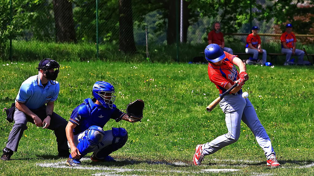 Braves Baseball Hallein_TVG Highlanders