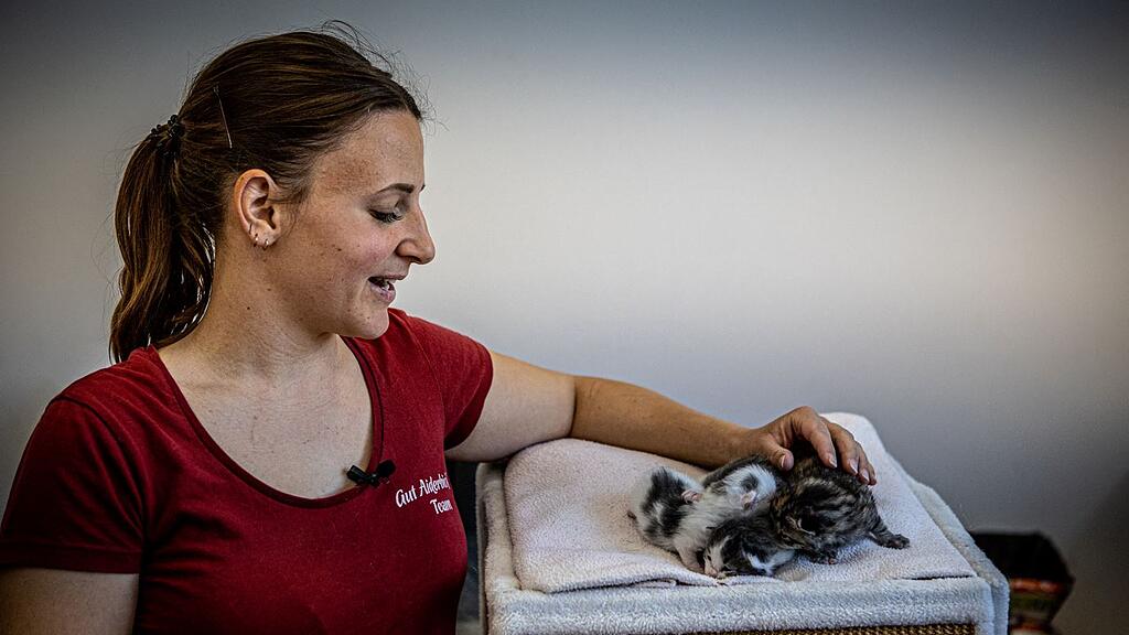 Gut Aiderbichl Tierpflegerin mit Katzenbabys.JPG