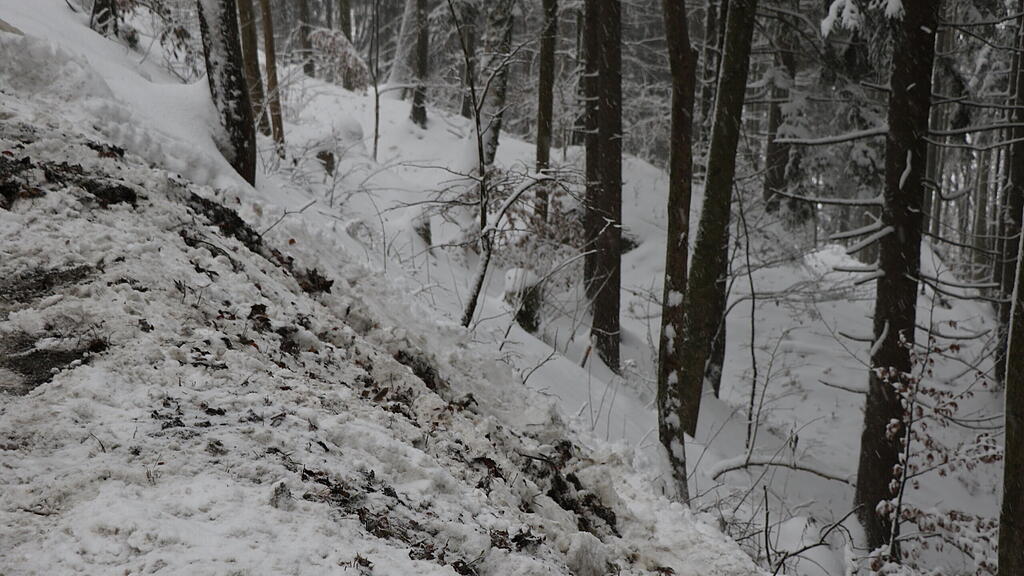 Unfall Gaisberg