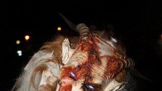Mehr Pics vom Krampuslauf Oberndorf