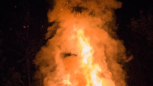 Burning Animal I