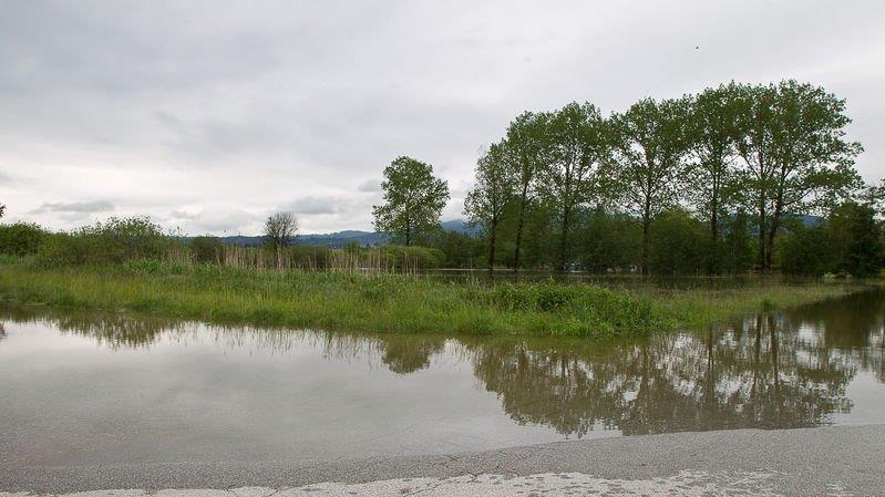 Wallersee trat über Ufer