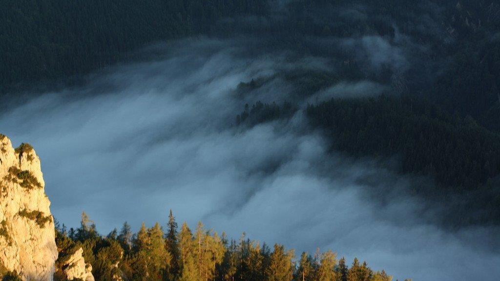 Nebelmeer im Chiemgau