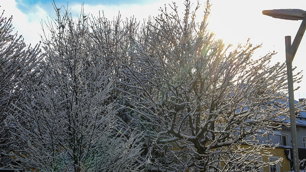 20241122_fmt_erster_schnee_salzburg_mw-10.jpg