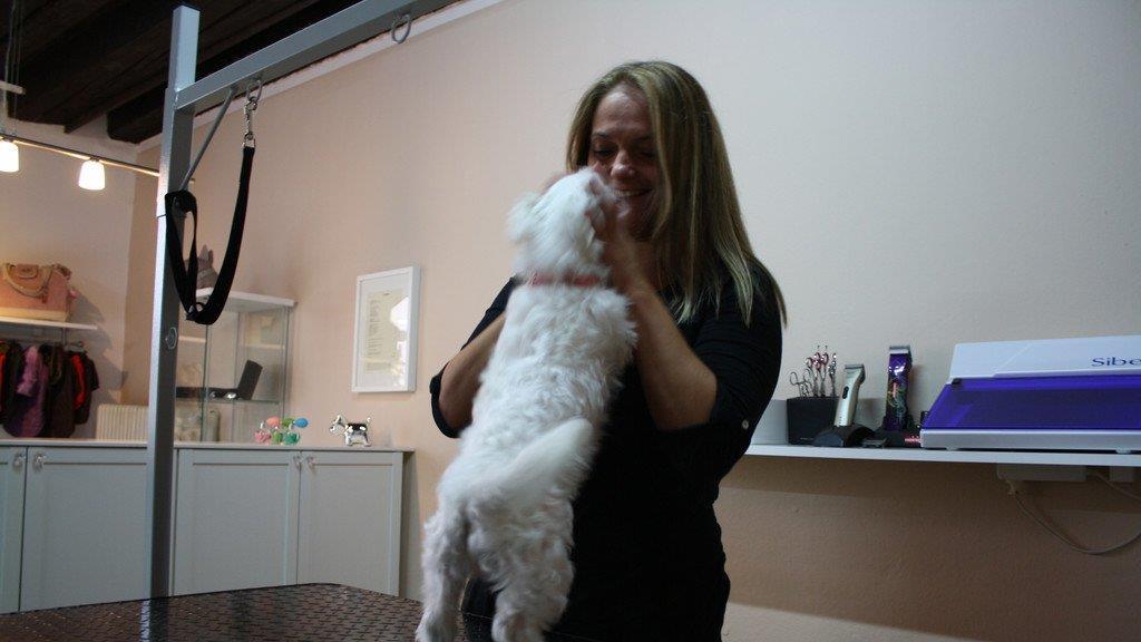 Die Hundefriseurin und ihr "Felldorado"