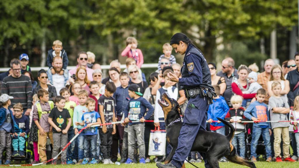 Tag der Polizei II