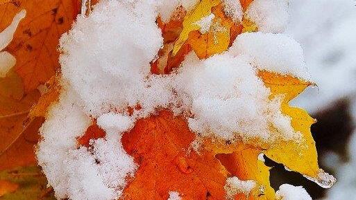 Winterwetter in Oberösterreich