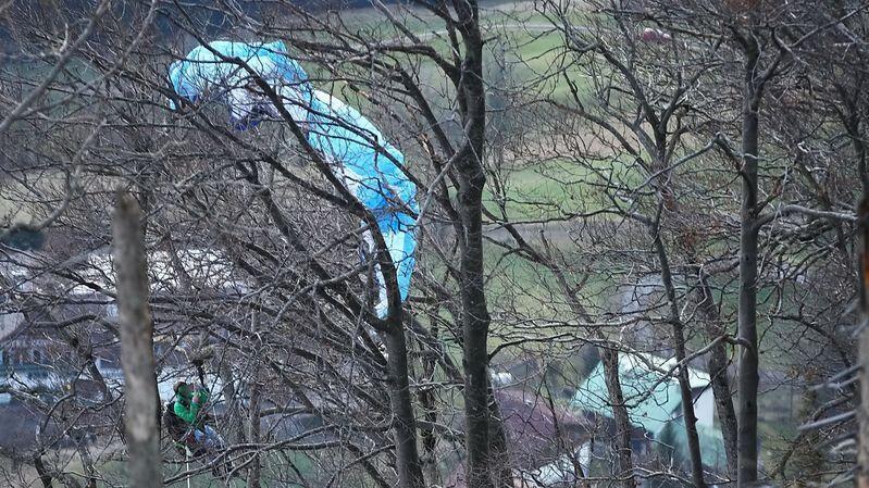 Der Mann war in einem Baum gestürzt.