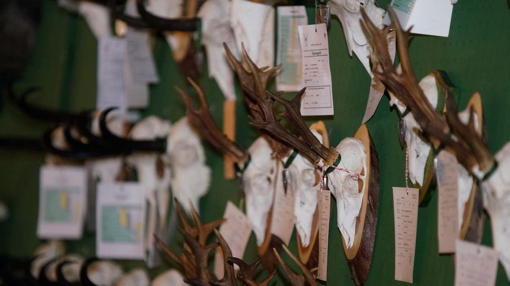 Landesjägertag mit Neuwahlen des Vorstandes