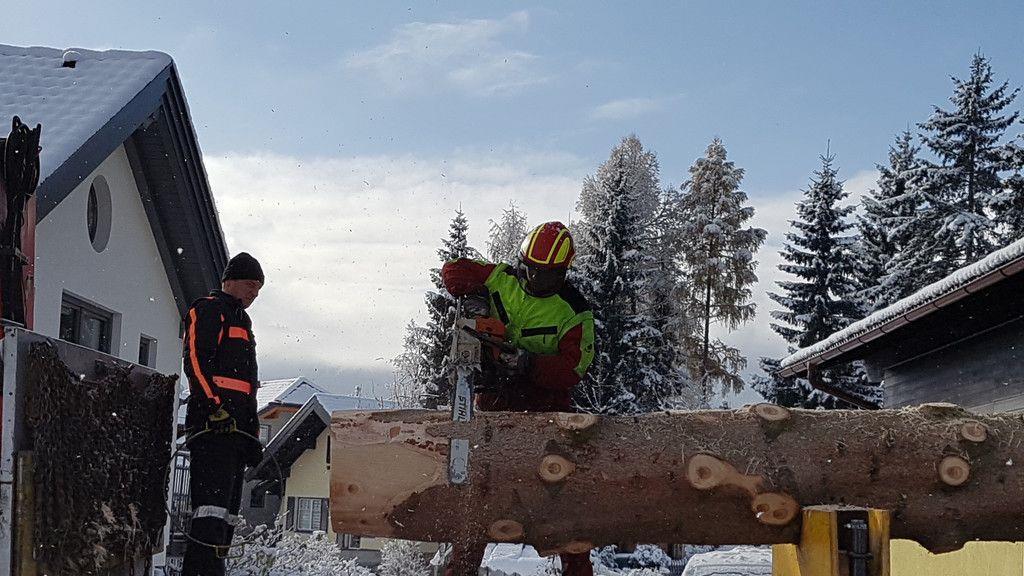 Baumfällen Mariapfarr