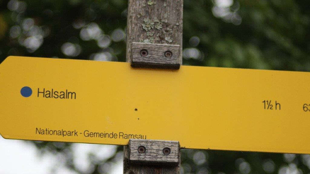 Suche nach Bergsteiger