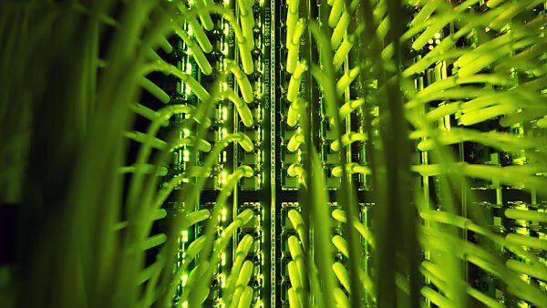 Österreich soll besser vernetzt werden