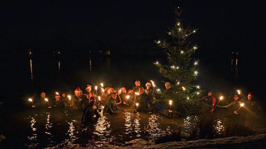Christbaumschwimmen in Schärding
