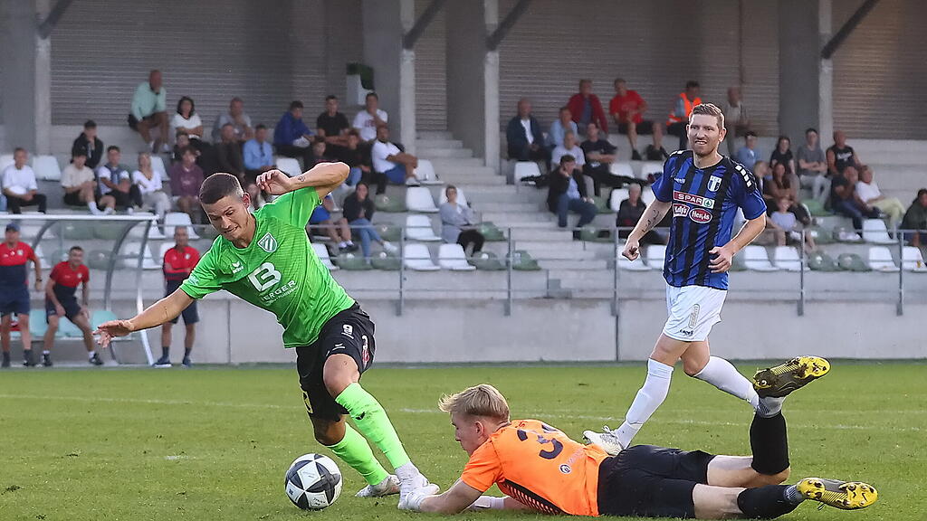 Petrit Nika