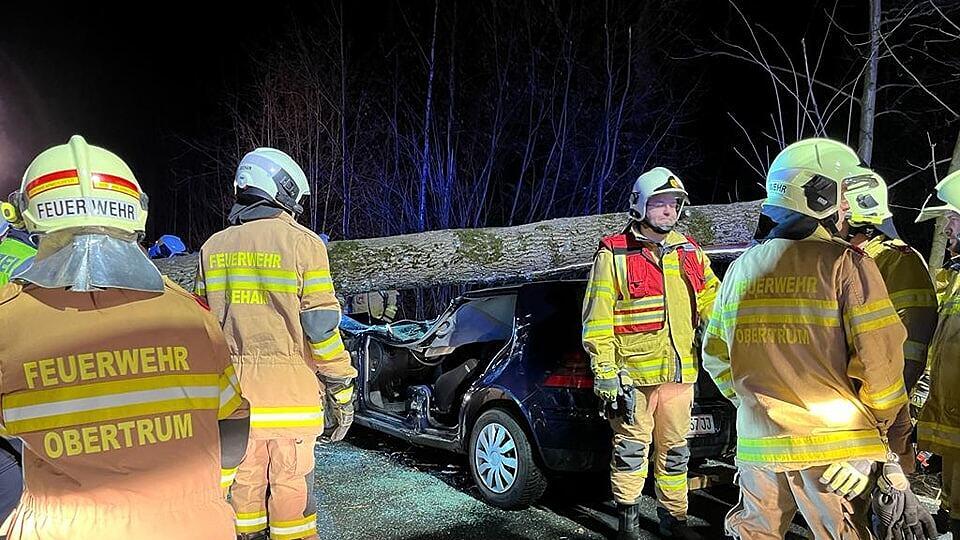 Baum trifft Auto bei Fahrt