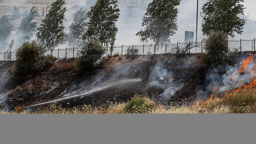 Israel, Feuer, Waldbrand
