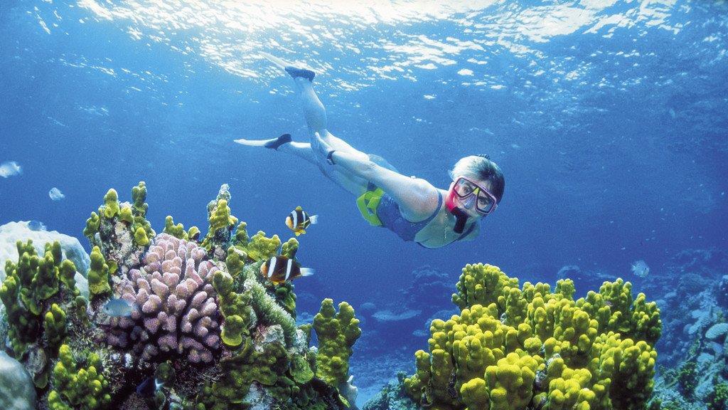 Great Barrier Reef