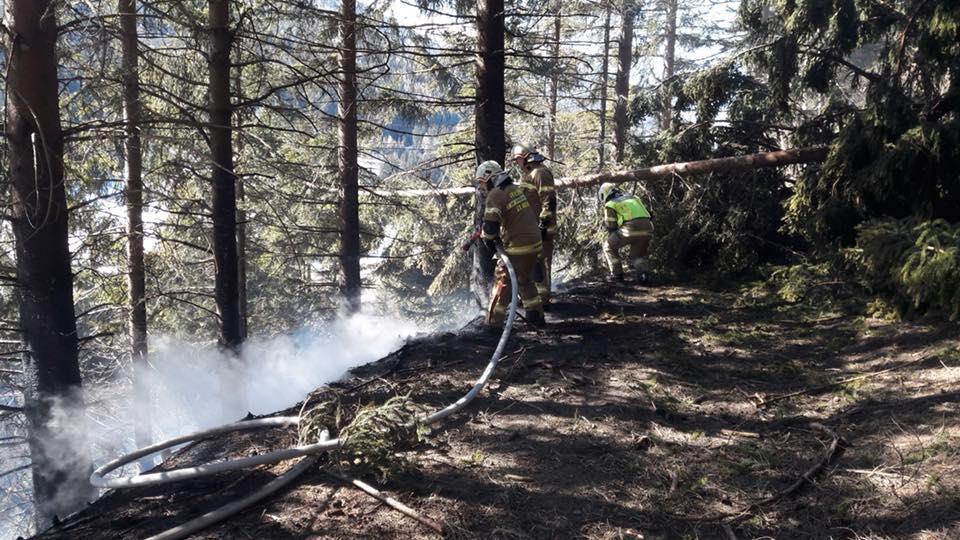 Waldbrand in St. Michael