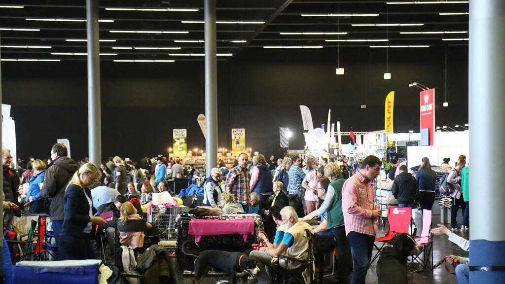 Hunde-Messe in Salzburg