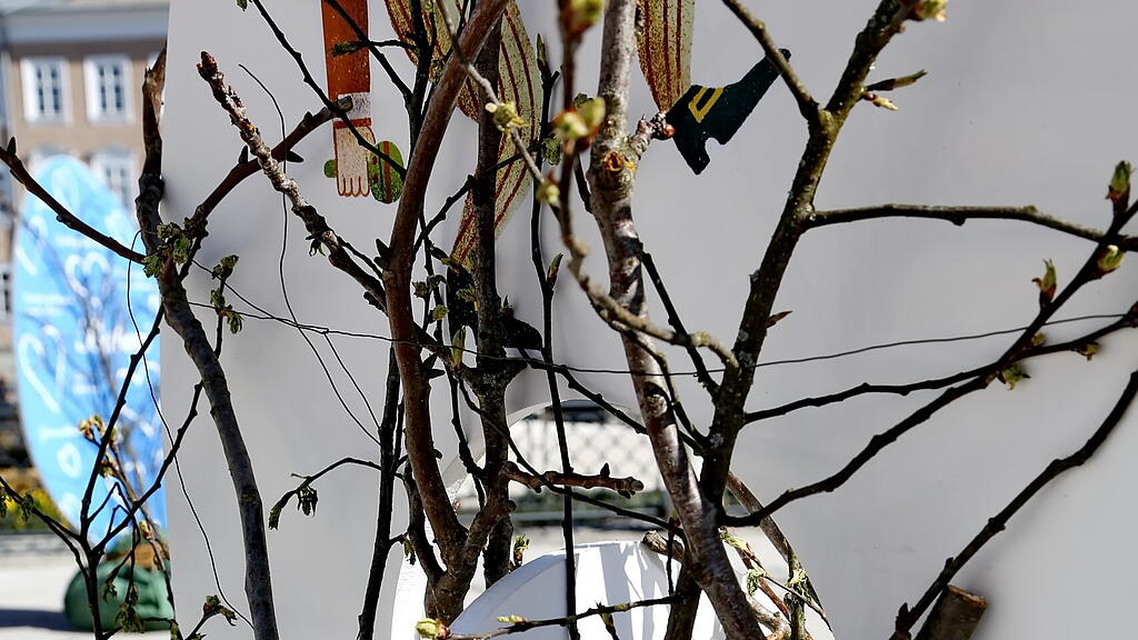20210326_fmt_bunte_ostereier_altstadt_sbg_KJ031.JPG