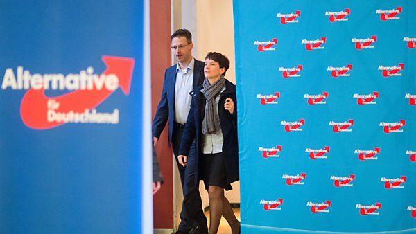 AfD Bundesparteitag in Hannover